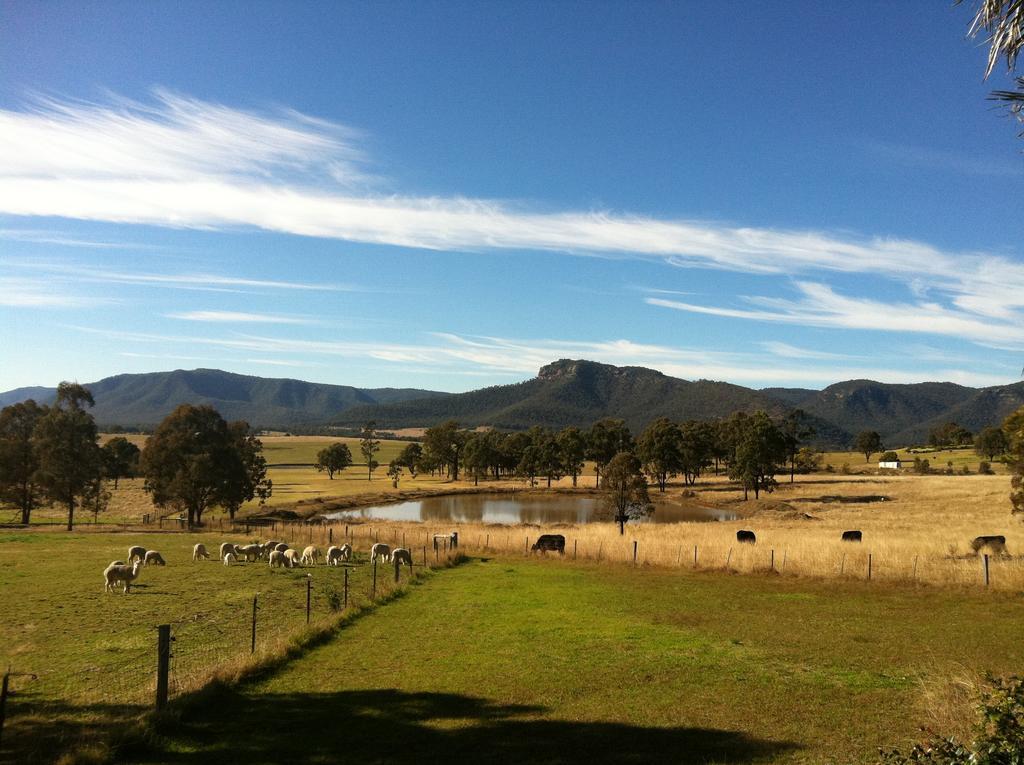 Starline Alpacas Resort Broke